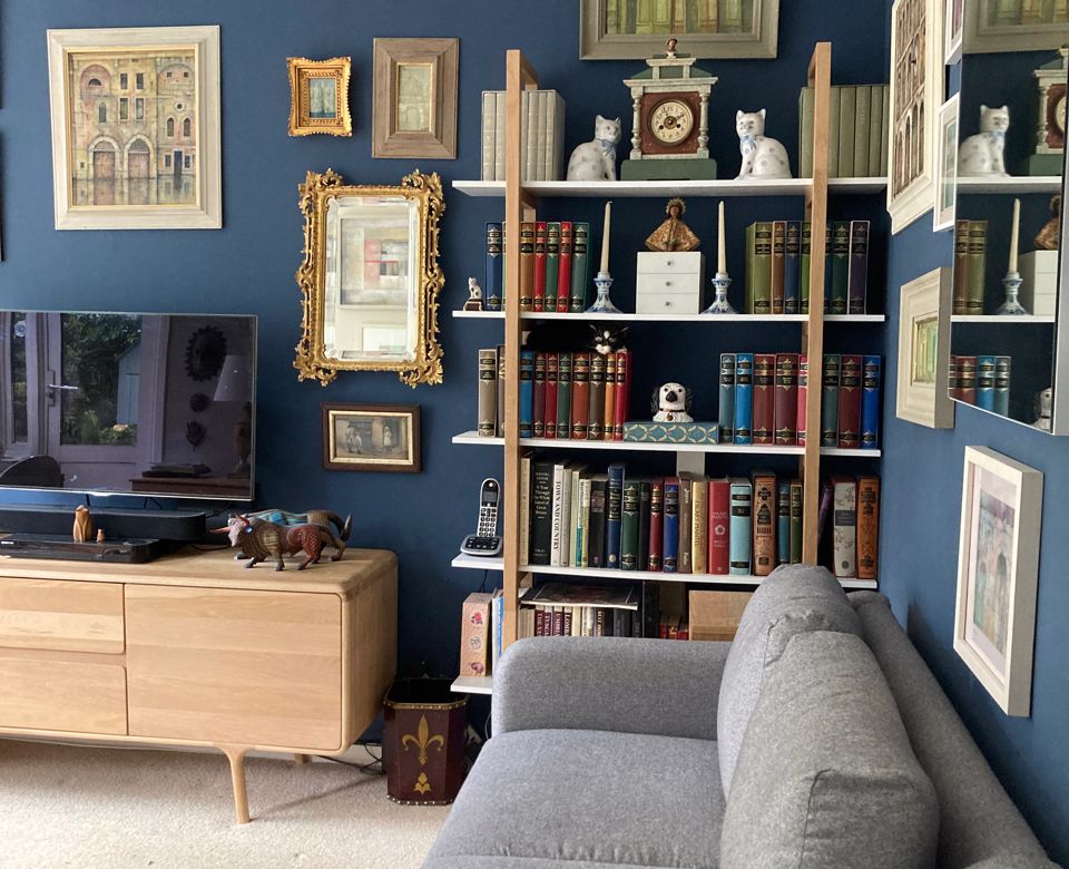 Living room library