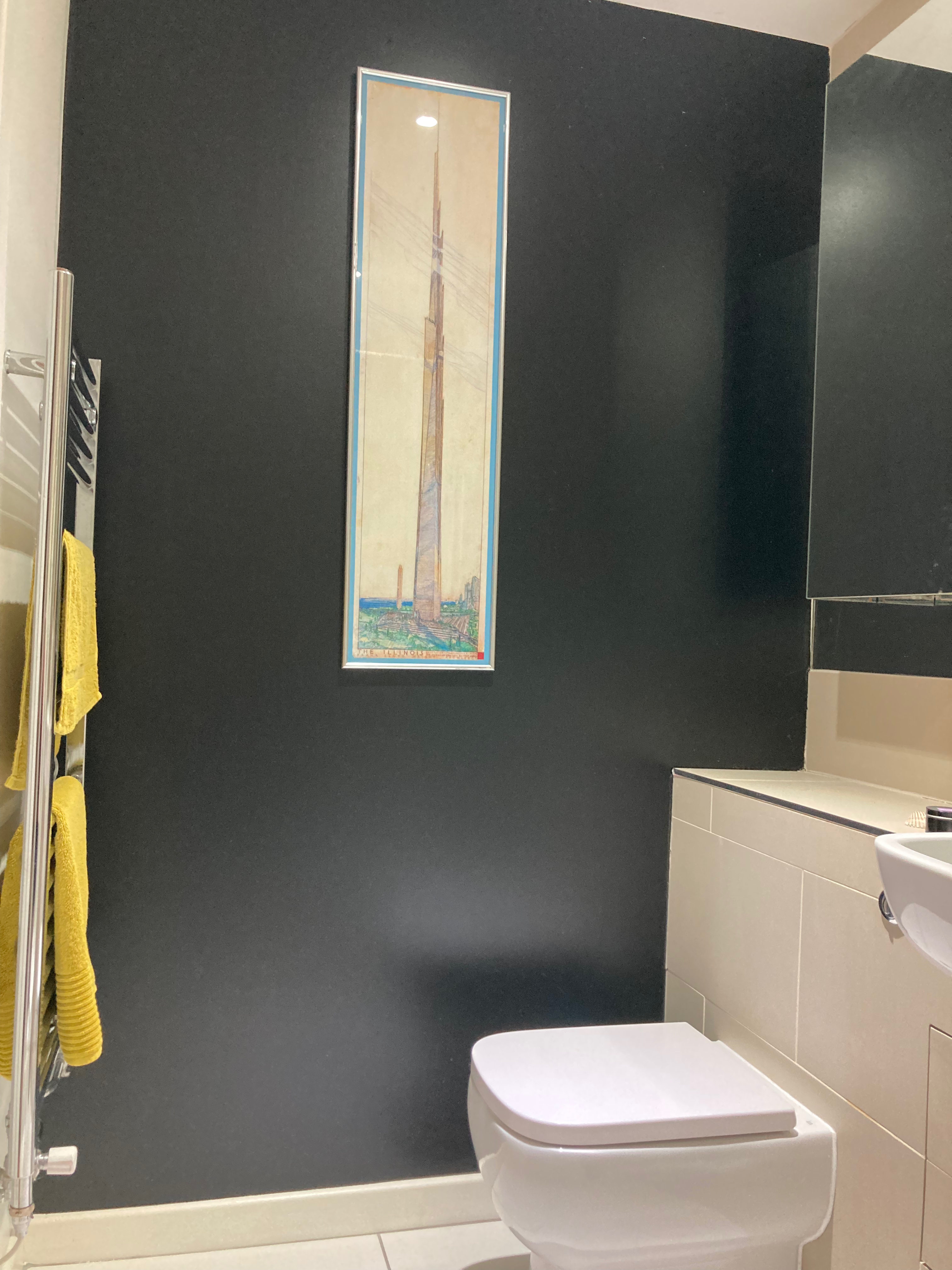 Black bathroom and cloakroom